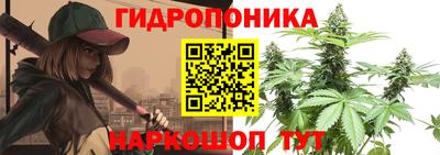 трава Абакан
