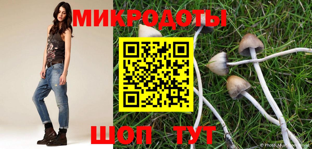 Галлюциногенные грибы прущие грибы Александров