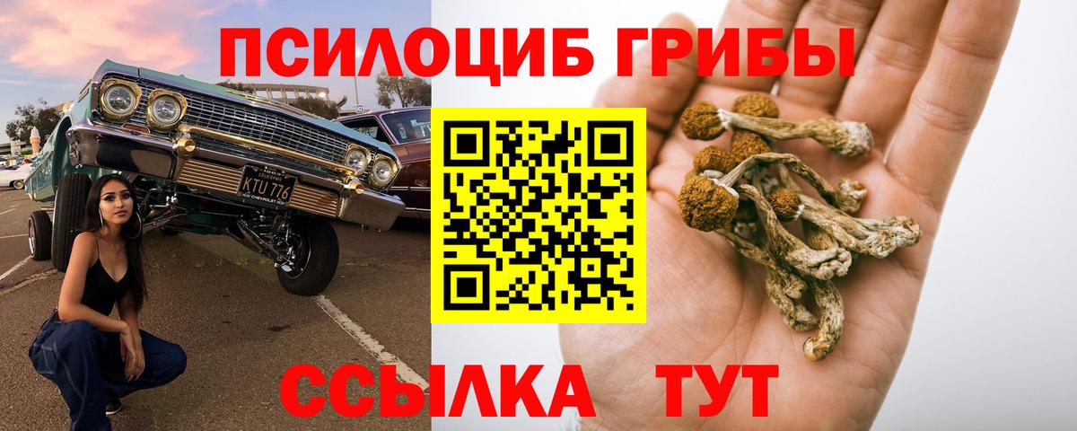 Александров  Псилоцибиновые грибы ЛСД  Галлюциногенные грибы прущие грибы  Вход с VPN 