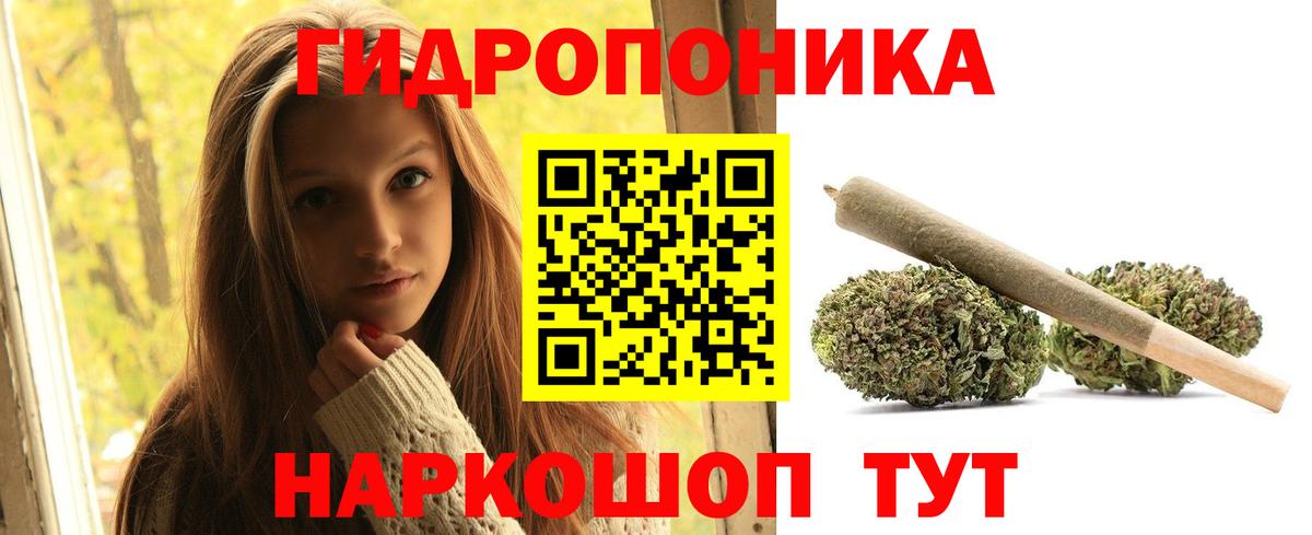 Бошки Шишки MAZAR Александров